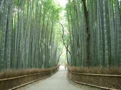 大河内山荘庭園