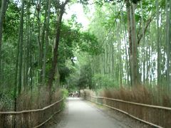 竹林は、この下の、野宮神社の前も良い。