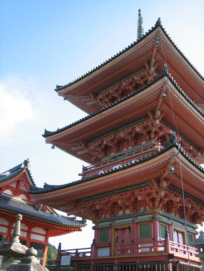 立派なモンです。