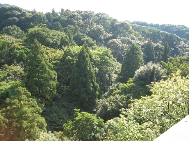 こんな感じ。清水の舞台からの眺め。