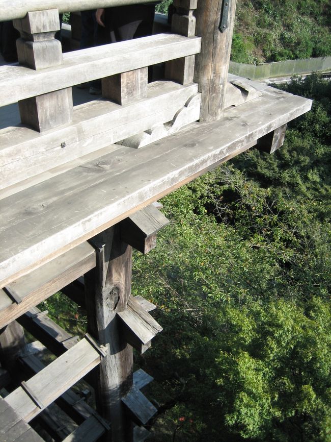 おおぉ。こんな感じ。清水の舞台から下へ乗り出すと。（危険）