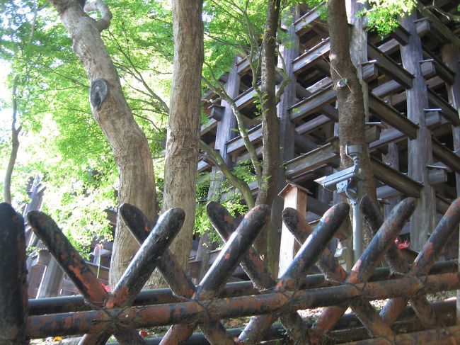 清水の舞台は、こうやって下から見上げる方が私は好きです。