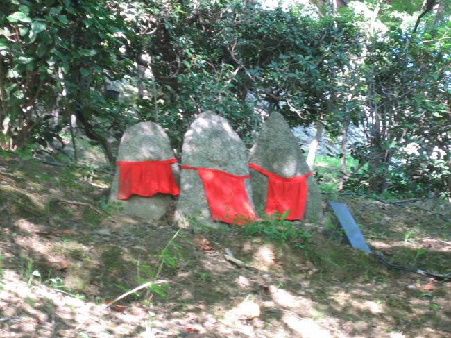 また、来ましたよ。