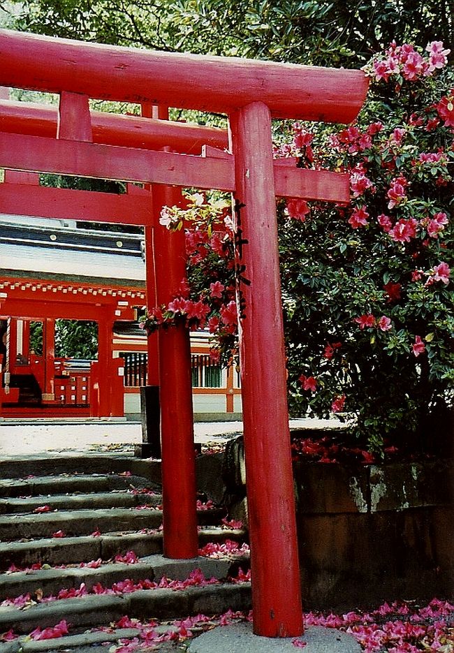 鳥居の赤、花の赤。