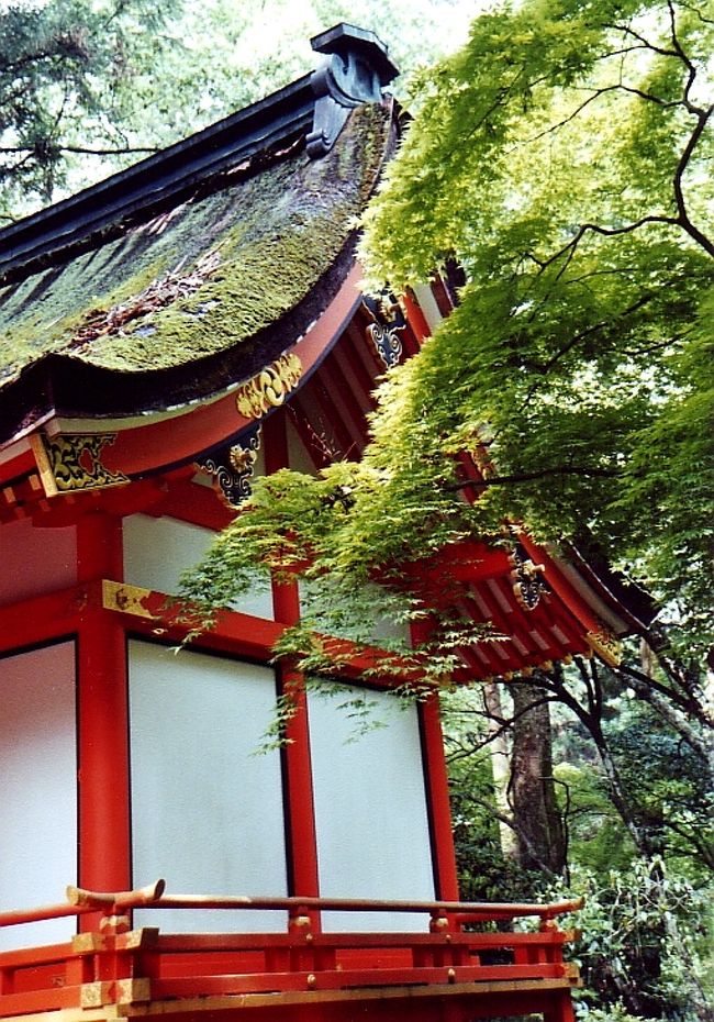 大宰府付近の神社だったのは覚えてるけど…。<br /><br />