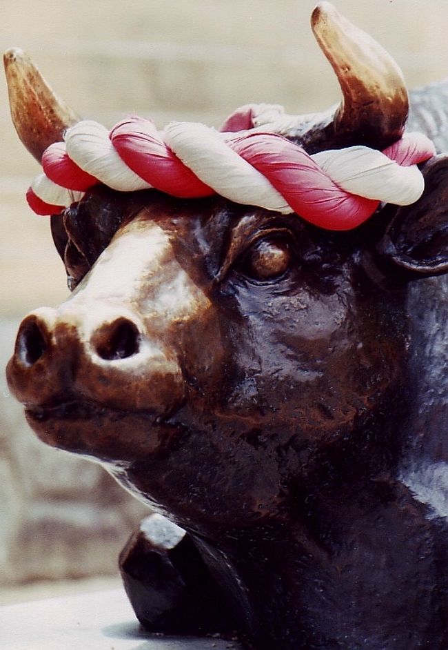 紅白の鉢巻が愛らしい、牛！