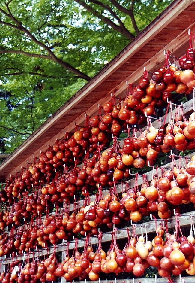 瓢箪が無数に下がる。