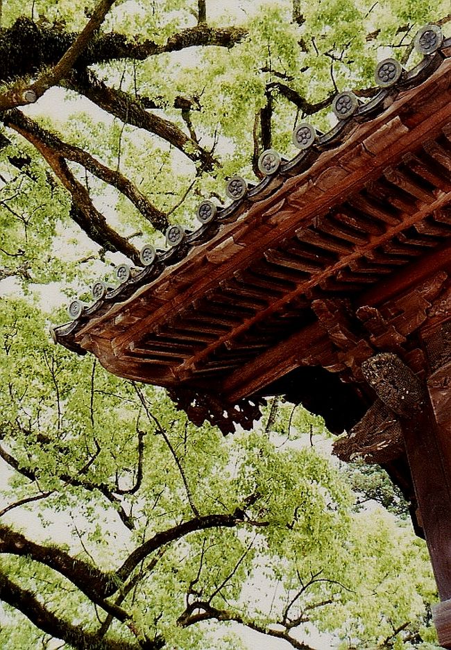 これもきれいな色と形。