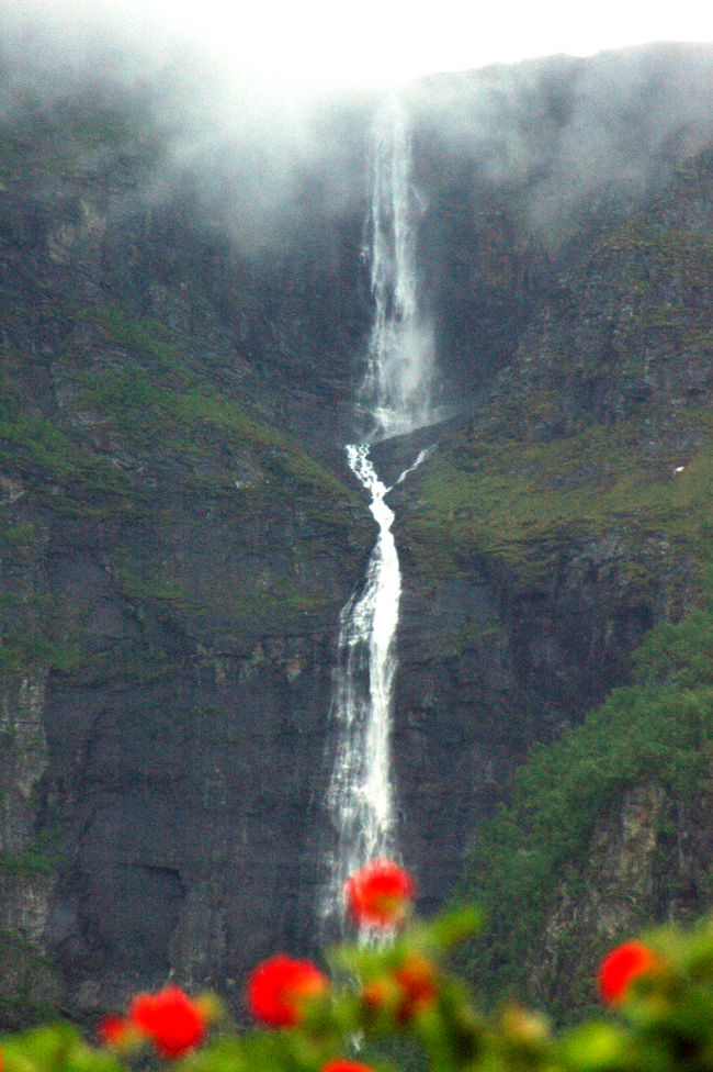 さぁ、フィヨルド観光へ出発です