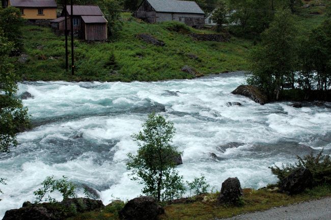 川の流れも力強く、見とれて・・・