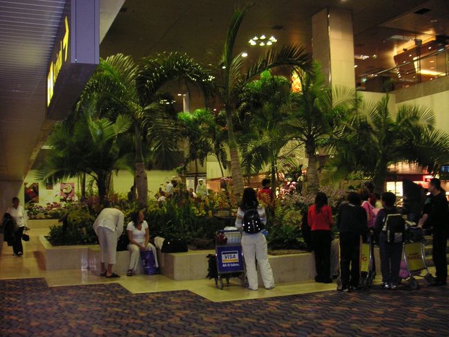 空港内の風景。<br />ちょっと南国風？