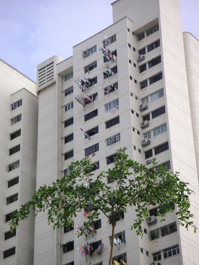 これはシンガポールの『公団住宅』です。<br />窓からたくさんニョキニョキ出てるのは・・・？