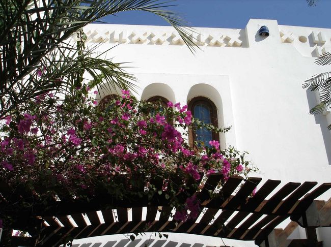 ホテルは中庭にプールがあり、それを囲むように部屋が配置されています。