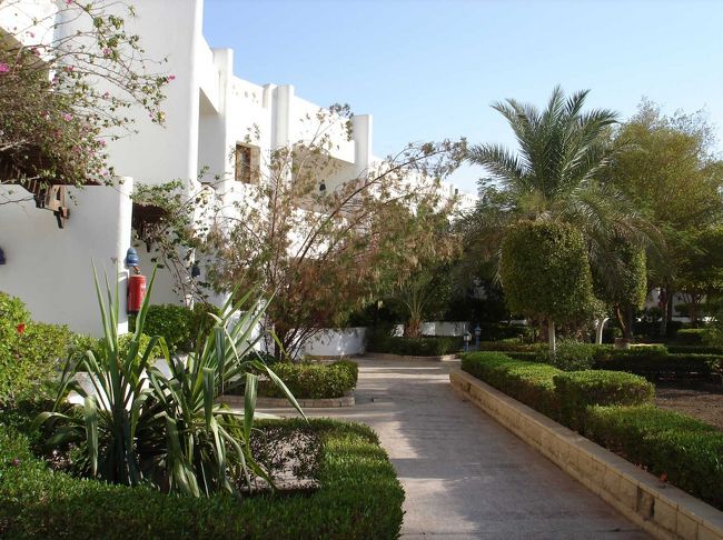 欧米人が好きそうな造りで、部屋も広く快適です。