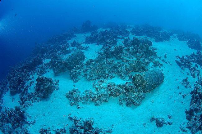 Gordon Reefの沈船からのドラム缶。