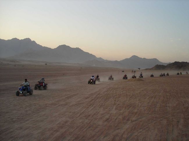 道なき荒野をバギーツアーも開催されています。