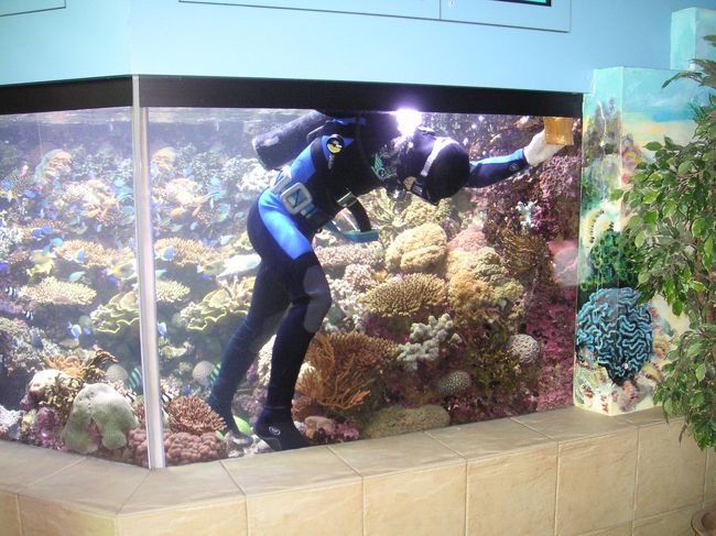 ちょうど餌付けの時間だったみたいです。