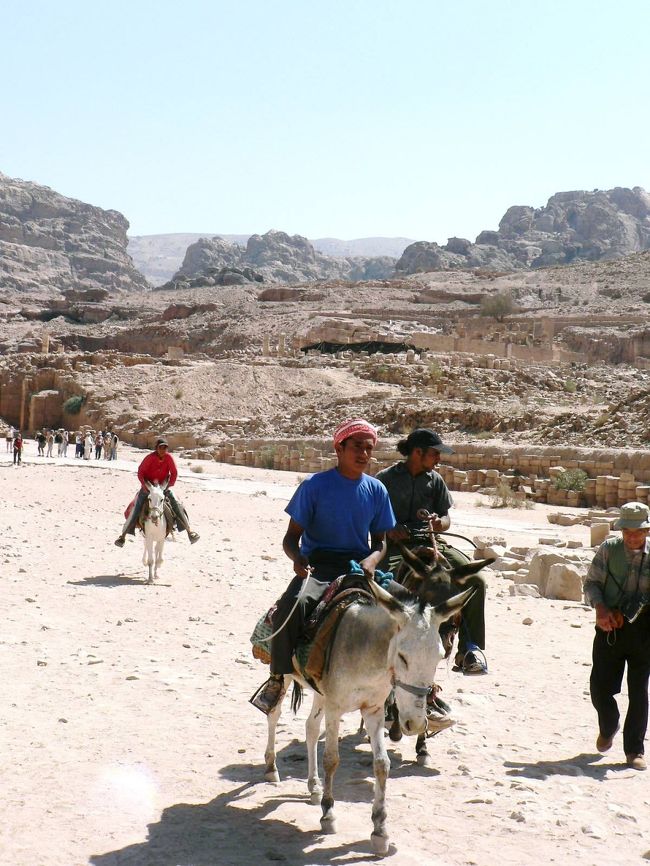 ペトラ遺跡で観光客を運ぶロバ。