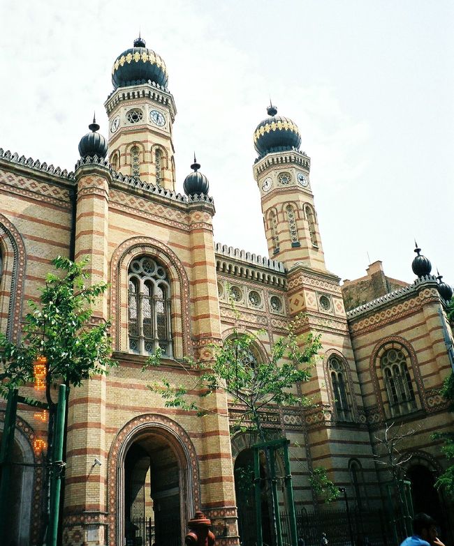 ★シナゴーグ (Zsinag&amp;oacute;ga)と展示館（博物館）<br /><br />2年前の2002年、ベルリンで、その壮大な外観に惹かれてシナゴーグを訪れたことがあります。そのときは、併設の博物館には入れましたが、肝心のシナゴーグの中は見学させてもらえ真線でした（観光客に開放されていませんでした）。写真や絵を見るとすばらしく豪華だったので、見れないことにひどくがっかりした覚えがあります。<br /><br />あれ以来、私は豪華なシナゴーグに少し飢えているかもしれません。ブダペストのシナゴーグはベルリンの大シナゴーグに劣らず、いや、それよりももっとオリエンタルでエキゾチックなすばらしい建物のようです。玉ねぎ型ドームがあって、装飾がイスラム建築っぽい。そんな写真を見てしまえば、じっとしてはいられません。しかもブダペストのシナゴーグは、内部が見学できるらしいのです。これはぜひ行かねば、と思いました。<br /><br />着いてみたら、シナゴーグの前は人だかりで、ギョッとしました。入るのに待たなくてはならないのでしょうか。と思ったら、シナゴーグの入口でユダヤ遺跡探訪ツアーに申し込むことができ、その団体客が出発待ちをしていただけでした。私も参加しようかと、一瞬迷いました。なにしろ、私はこのシナゴーグについては、歴史を含め、ほとんど何も知りません。しかも、私の頭の中では、ブダペストのユダヤ人の歴史が、旅行直前に読んでいた本にあったプラハのユダヤ人の歴史とごっちゃになっています。ツアーに参加すれば、ガイドの説明が聞けるはずです。<br /><br />でも、ツアーは昼食込みで、終わるのが14時のようです。典型的なユダヤ料理のランチには魅了されましたが、今日の観光のハイライトは王宮の丘の予定です。そっちの時間が足らなくなると困るので、ツアーはあきらめ、シナゴーグは一人で見学することにしました。<br /><br />入口は、セキュリティ・チェックのせいで少しものものしかったです。空港並みの念の入れようでした。でもそれがすめば、後は自由放免でした。ちょうど団体が出てくるのとかち合ってしまったので、狭い入口はものすごく混雑して、なかなか中に入れませんでした。中もこうだろうか、と、とうんざりしたら、中は広々としていました。観光客は多かったのですが、それほど混雑を感じさせませんでした。それに、どこもかしこもすばらしいので、ひとところに観光客が集中しないですんでいたせいもあるかもしれません。<br /><br />それにしても、ああ……、やっと見ることができました。こんな豪華なシナゴーグ。これです、こんなのが見たかったんです。文様化されたすばらしいデザイン。あちこちに「ダビデの星」のモチーフが見られます。要するに星型模様ってことですけど。装飾が多く、バロックやロココ並みに手がこんでいるのに、バロック教会のようにごたごたしていなません。全体の構造はシメントリックで、曲線と直線の美の世界です。すっきりして見えるのはそのせいでしょう。黄金がふんだんに使われているけれど、濃い茶色の木材も多く使われていて、色彩的にもホッとします。