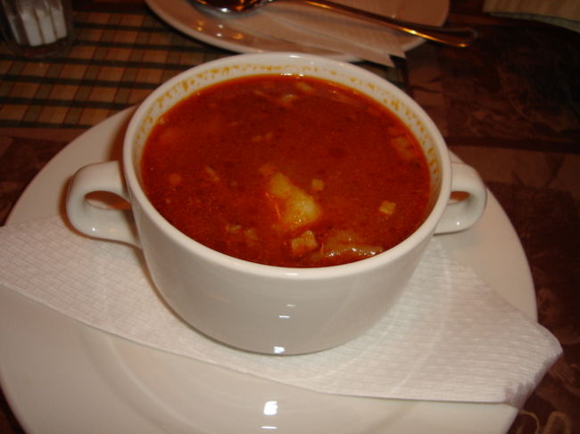 身体がちょっと冷えちゃってたななは温かいグヤーシュスープを。これもよく煮込んであって骨まで温まったね。