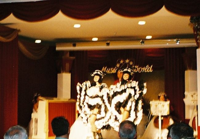 写真は、ワルツとオペレッタのコンサートの第二幕のプログラムにあった、フレンチ・カンカンです。サービスで（？）、載せてみました。ぶれぶれ写真で失礼！───ほとんど最後尾の席に座っていたので、第二幕あたりから、ちょっとずうずうしくなって撮影のときは立ちあがって撮ったりしたのですが……やはり急いで撮ったため、いまひとつな写真ばかりになってしまったのが残念です。