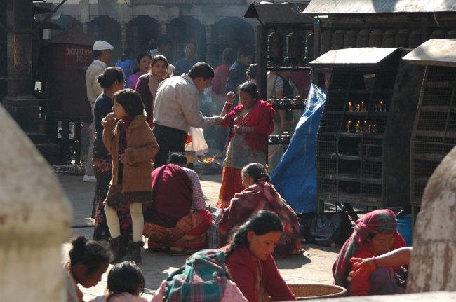 このおばさんたち集まって何をしているのかと思ったら・・・