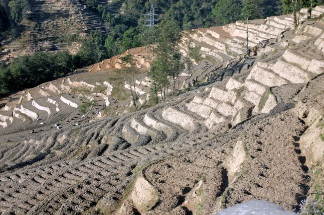 その後カカニの丘へ