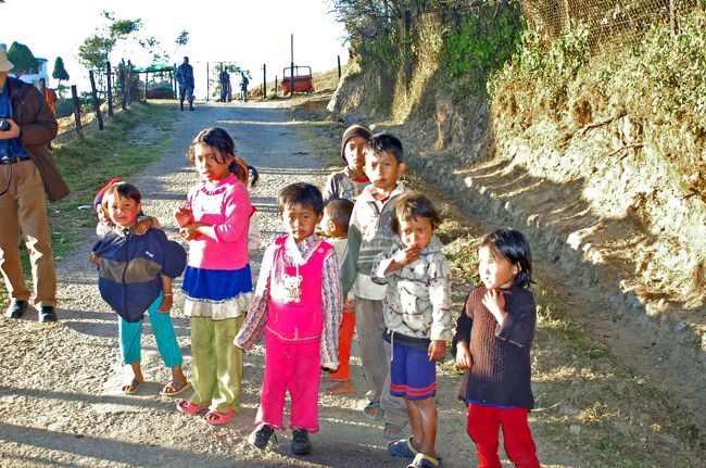 でも、見た感じでは、私たちに興味津々であることは間違いないはずなのですが・・・