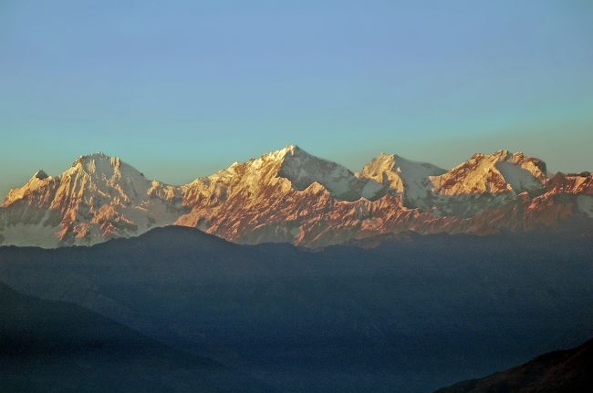 10分ほどたってから