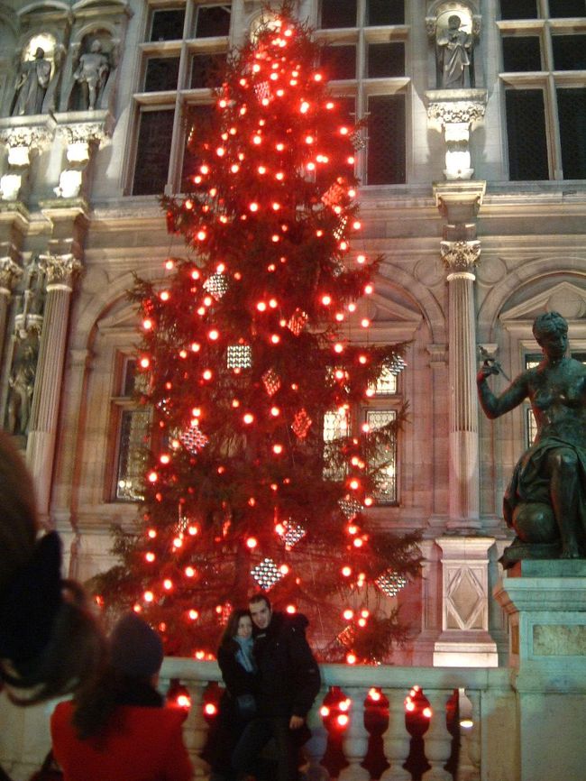 市庁舎前のクリスマスツリー。