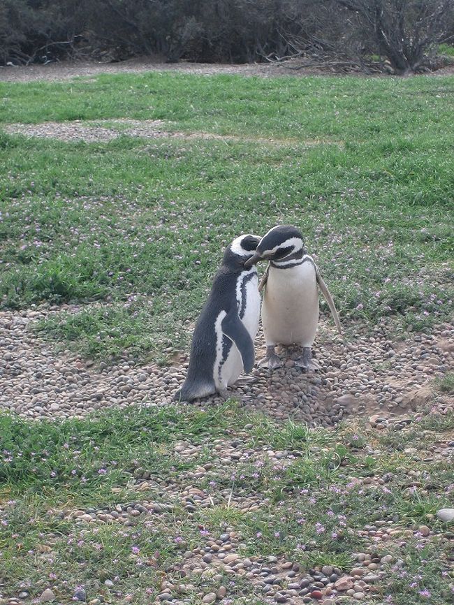 これがチュッチュしているものですね＊＊