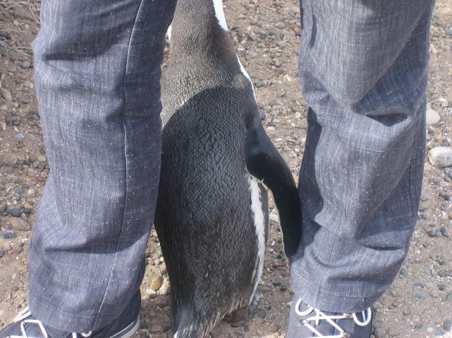 通り抜けました〜！