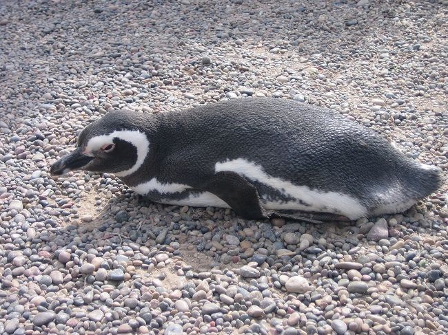 起こしちゃった？！