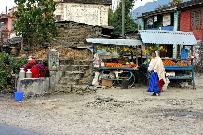 往復２時間の簡単なハイキング