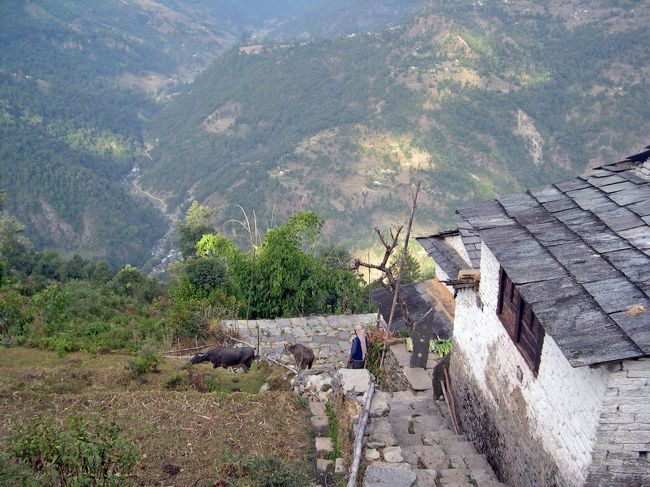 チャンドラコット　<br />アンナブルナ連邦の美しい眺めのはずが雲の中でした。<br />この家の庭野先は数百ｍの断崖・・<br />私がここで生まれ育っていたら、間違いなく今頃は生きていない。