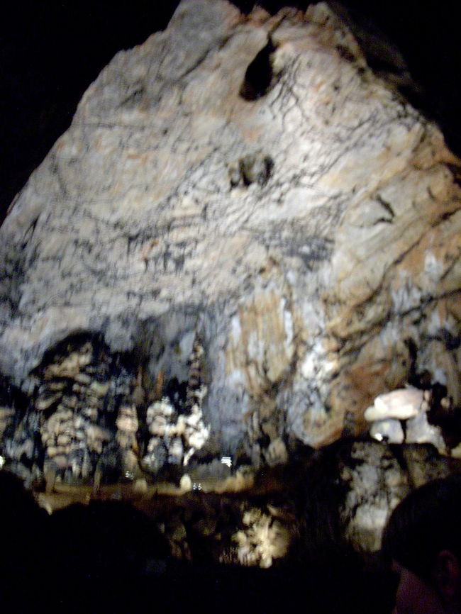 <br />＜アグテレック鍾乳洞＞<br /><br />ハンガリーの北東部にあるアグテレック国立公園は１９８５年に、主として無機質自然遺産、地表形成と洞窟保護を目的として設立されました。園内の７５％が落葉樹林で覆われています。ここには珍しい樹木、昆虫、そして２２０種類以上の鳥の住処となり、比較的狭い国立公園の敷地（約2万ヘクタール）内には、大小さまざまな洞窟があります。<br />アグテレク・カルストとスロバキア・カルストは、地質的、地理的に１つのまとまった地域を構成しており、中欧で最大の洞窟構造を形成しています。中でもカルスト内最長（同時にハンガリー国内最長）の洞窟はバラドラ洞窟で、その分孔も入れると最長２５KMもあります。この洞窟は２億３千万年前の中３畳紀の石灰岩でできています。洞窟形成が開始されたのは、約２００万年前。洞窟内の川の水は、割れ目から入り込んできたもので、石灰岩を徐々に溶かし、侵食することによって裂け目を広げ、現在のような通路を形成してきました。<br /><br />滴り落ちる水滴は石灰分を含んでいるため、様々な大きさ、色、形の鍾乳石、石筍を形成し、洞窟内を美しく飾り付けていきます。これらの鍾乳石、石筍野中には、発見者、訪問者の想像力をかきたて、「竜の頭」「虎」「義母の舌」「石柱広間」「巨人の広間」など、特別な名称を与えられたものもあります。<br />古代の人はこの洞窟の存在を知っていたばかりではなく、バラドラを実際に住居として使用していたことがわかっています。一般公開されている見学コースの中には、水文学的に興味深いバス・イムレ洞窟、呼吸器不全治療効果のあるベーケ洞窟があります。バラドラ洞窟の「コンサートホール」は音響が非常に良いので、クラシックその他音楽コンサートが行われています。<br /><br />いずれもガイド付きで、１，２，５、７時間の見学コースがあります。地質、植物、動物コースをたどることにより、訪問者はカルスト地表構造、生殖する植物、動物、伝統的な土地利用法、村の生活、産業・文化の歴史、民族･習慣･伝統・民芸品などについて知ることができます。<br /><br />※ただし、日本語のガイドはありませんでした。<br /><br />