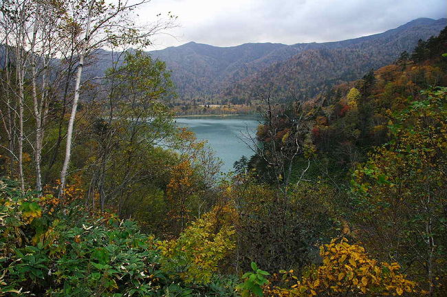 朝のオコタンペ湖