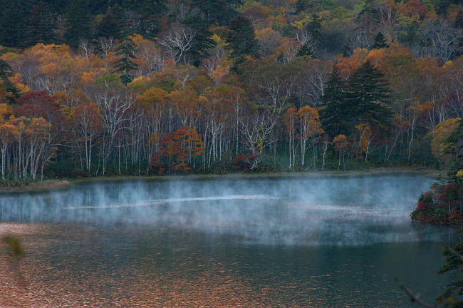 夜明けと共に発生した湖面の霧が更に神秘的な雰囲気を醸し出します