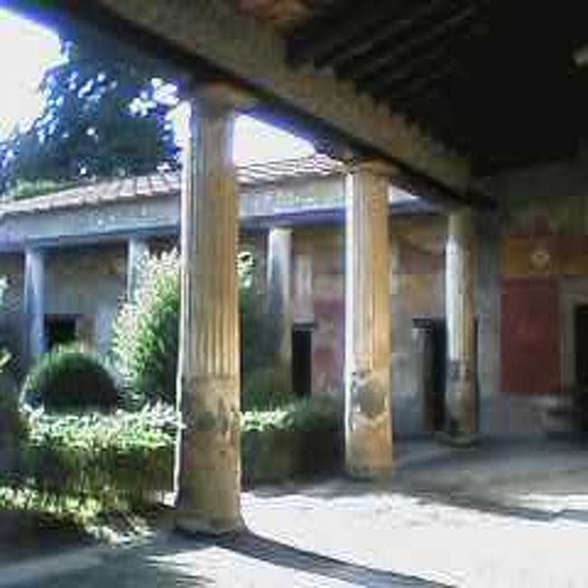 ポンペイにも行ってきました。<br /><br />かわいい子猫に会ったのですが、<br />怖がって逃げられちゃいました。