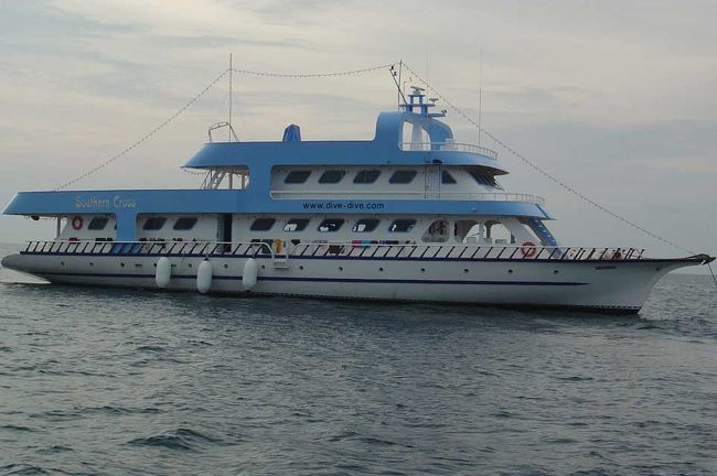 今回お世話になった『サザンクロス』です。年末年始は、パーティーが大晦日にあり、主催者の仮装あり、風船の海のなかでのダンスありと、大騒ぎでした。