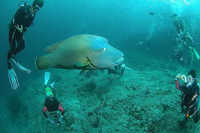何ともいえない眼動き