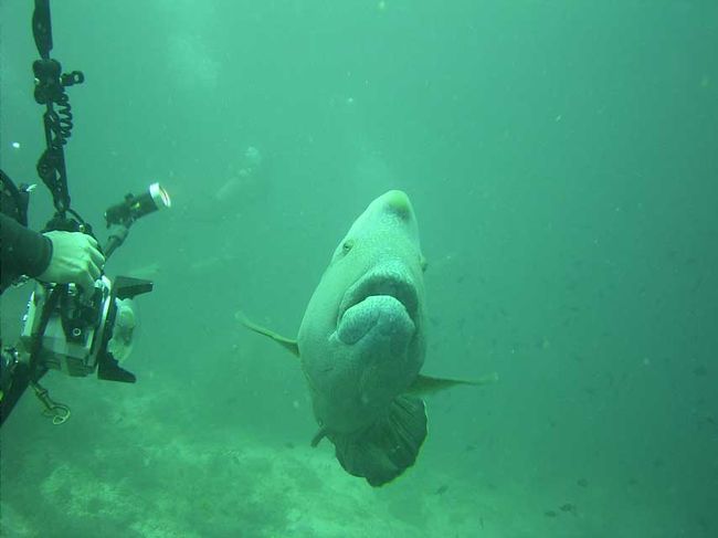 嫁さんが撮ってくれた私の撮影風景。
