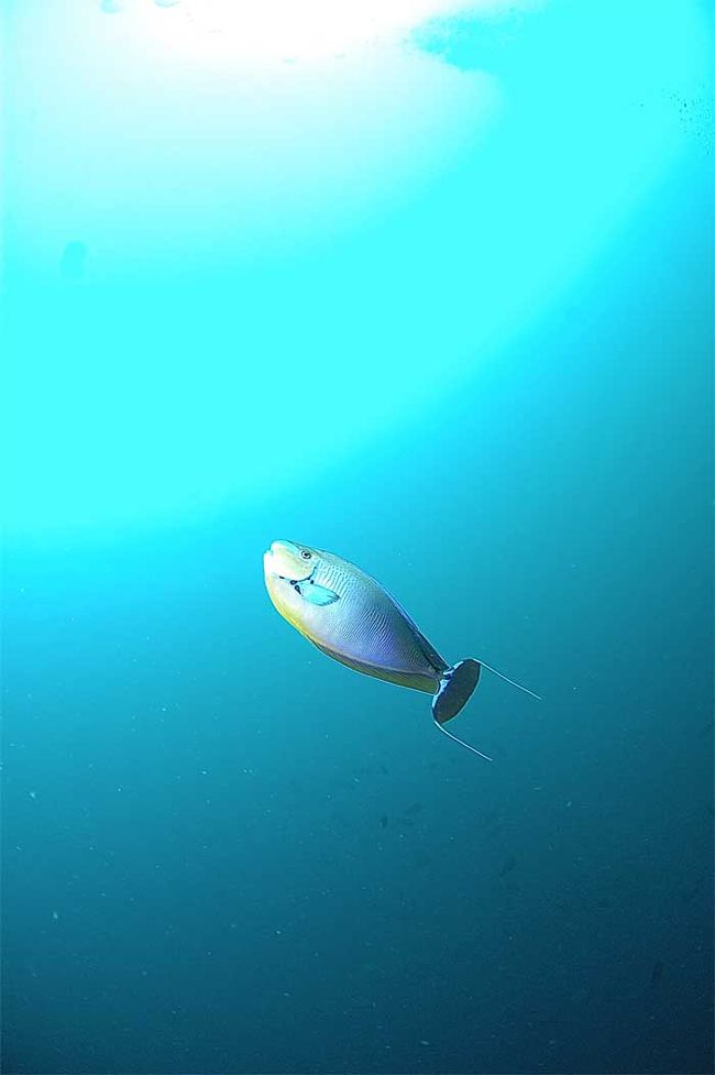 お気に入りの１枚です。