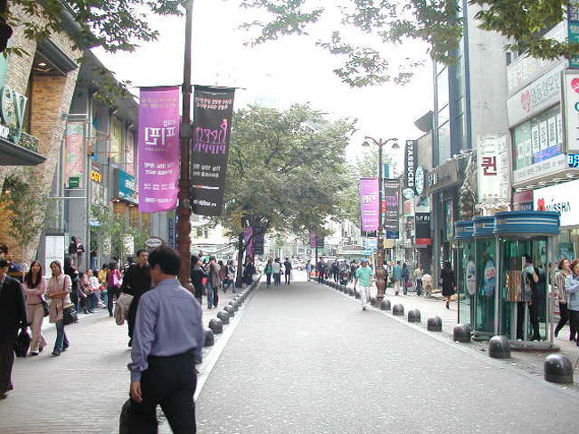 明洞の「中心部の癒される緑並木」が．．．．