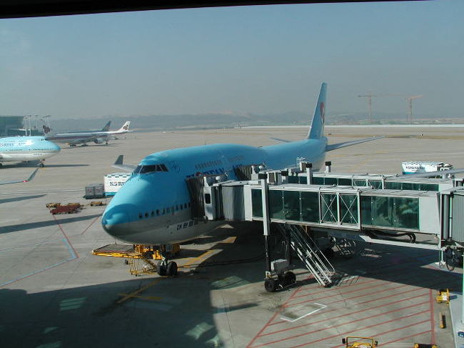 この飛行機で「成田」まで帰国便です。