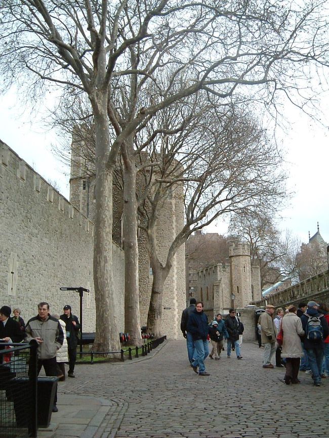 ロンドン塔へやってきました。<br />ここも恐ろしく入場料が高い！！<br />でもせっかく来たのに入らない手はないと、がんばって入りました。<br />