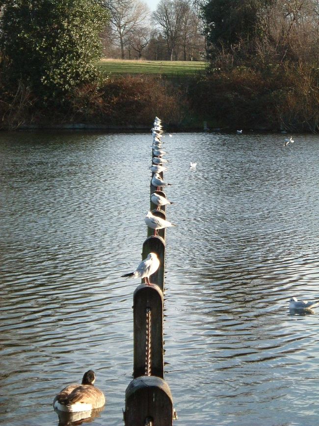 みんなきちんと並んで。