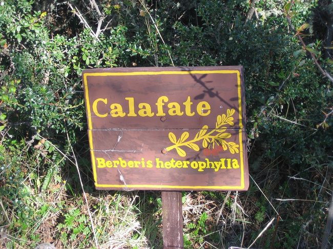 上記のボートからは氷河の断面しか見られませんが、全体の光景はいくつもあるバルコニーと呼ばれるスポットから見られます。