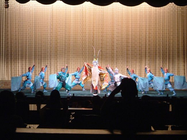 話の内容はほぼ分かりませんでした・・・。<br />が動きはすごいです。<br />