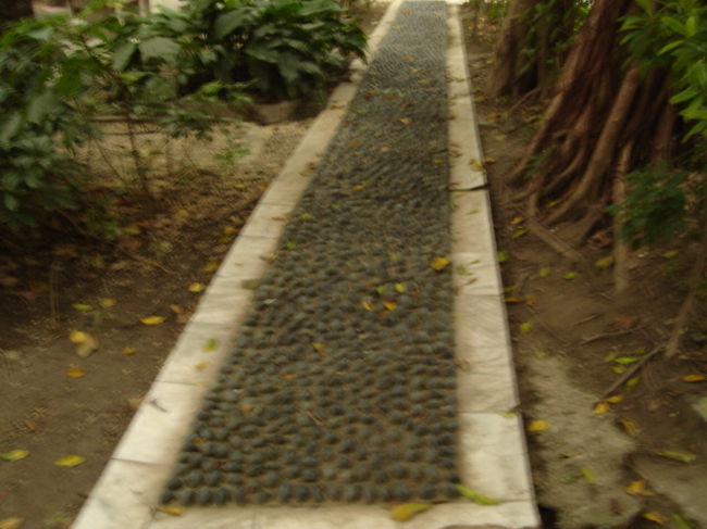 満腹すぎて歩くのもつらいのでIceMonsterの裏手にある公園で一休憩。小さい公園なのにやっぱり健康歩道がありました。